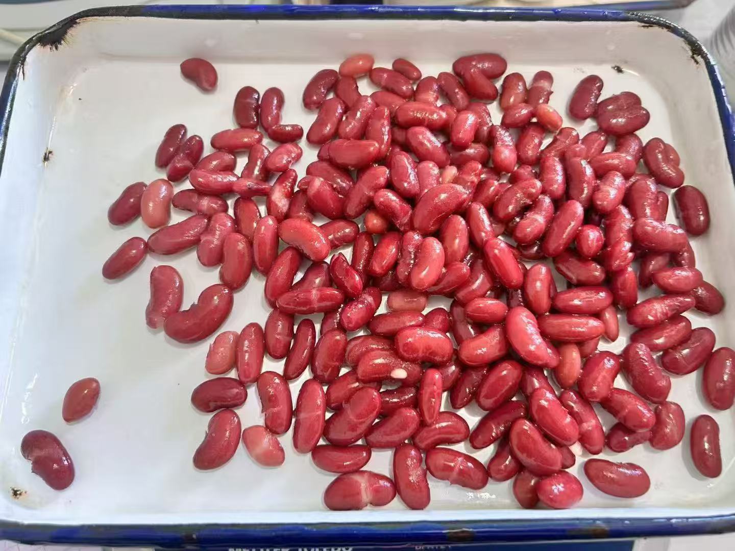 红芸豆